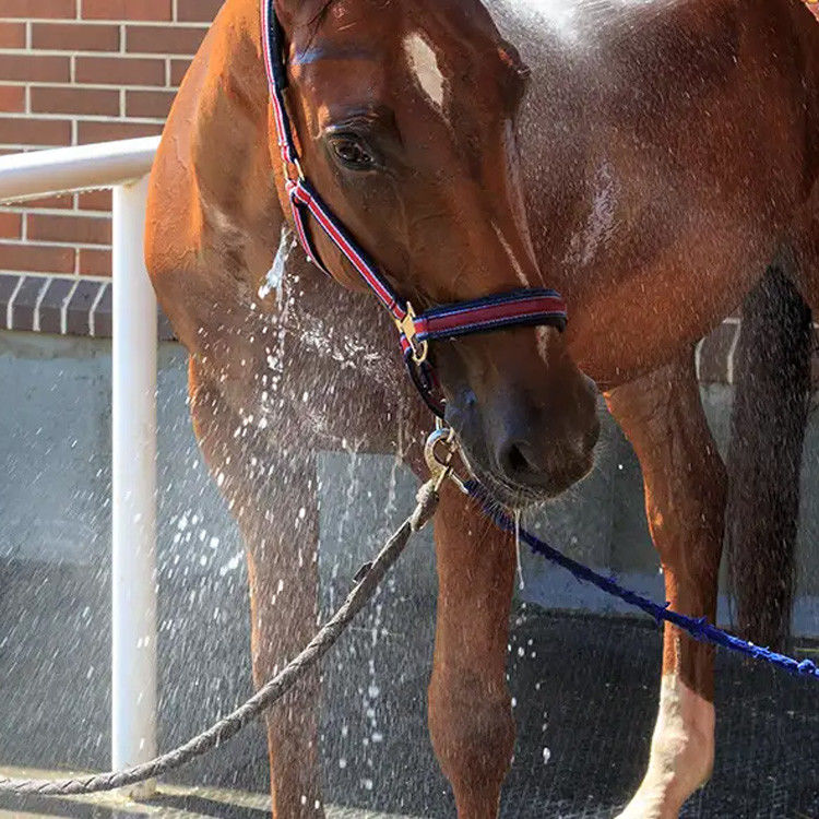 Draining Rubber Mats For Horse Exercisers SBR Interlocking Horse Mats
