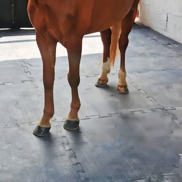 Eva Bottom 10x12 Interlocking Rubber Mats For Horse Stalls